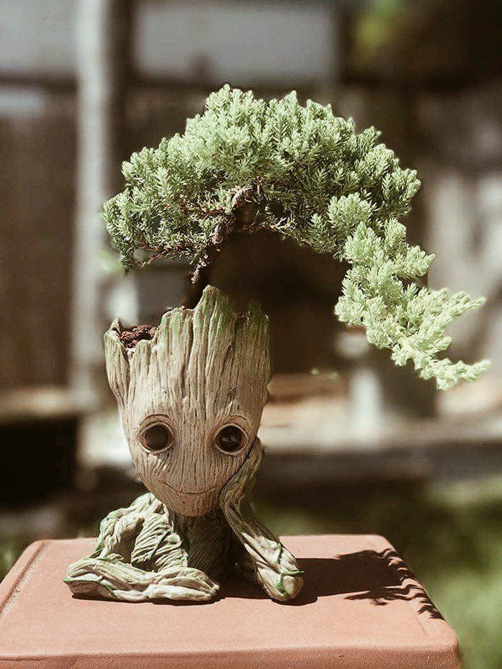 Groot