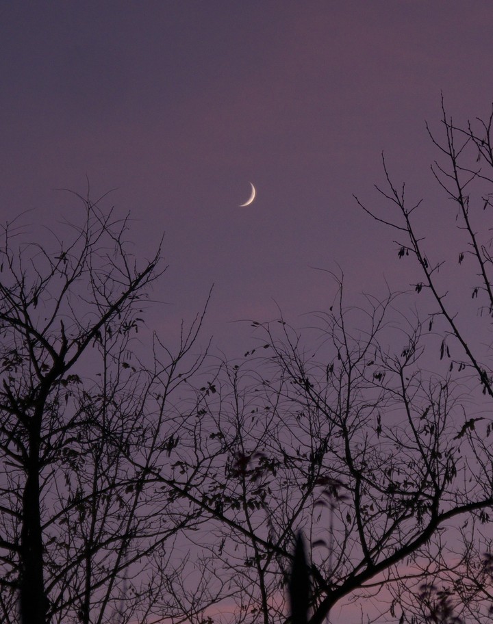 moon