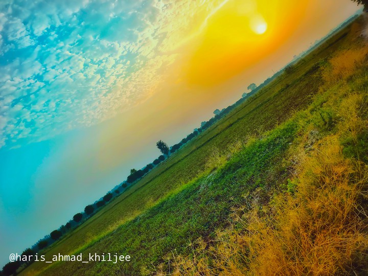 Nature