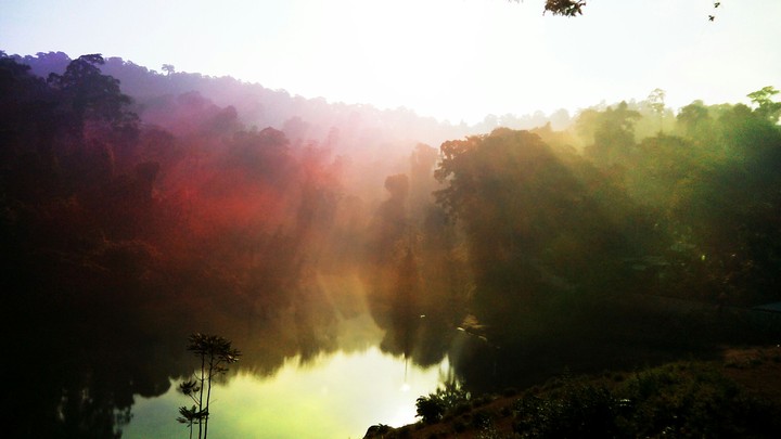 nature