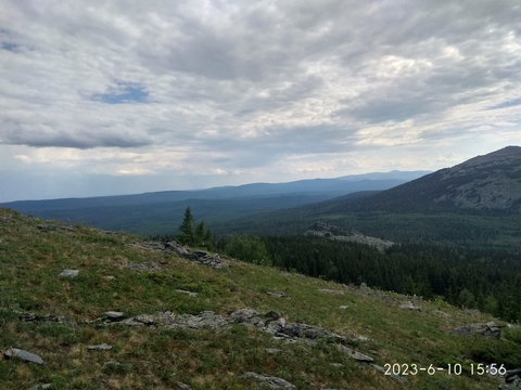 шпалери grass, mountain