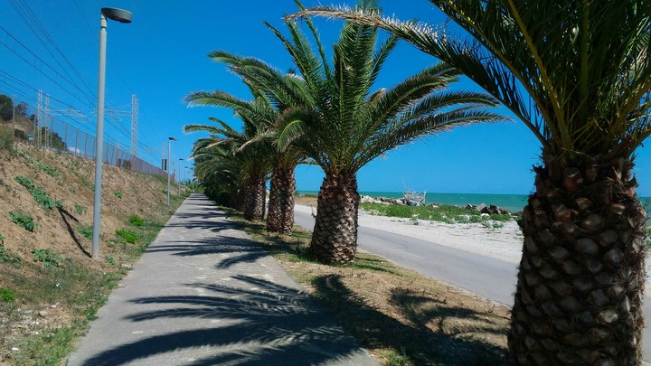 marche ITALIA