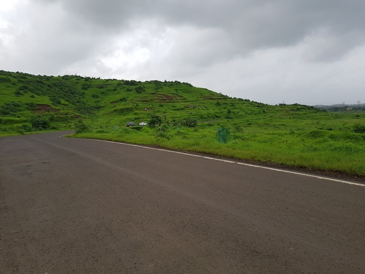 Greenery nd Clouds