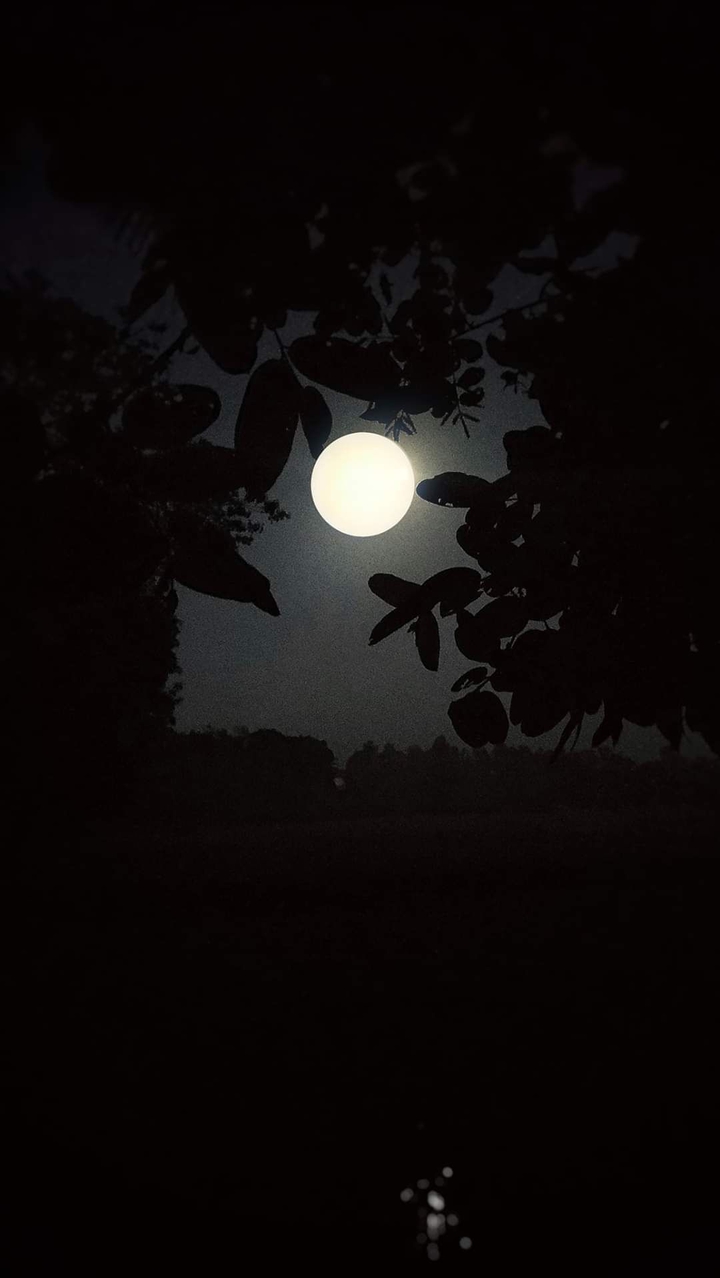 big moon