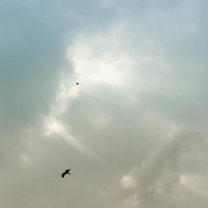 Fearless Flight