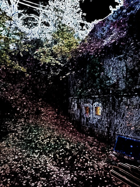Haus & Forest