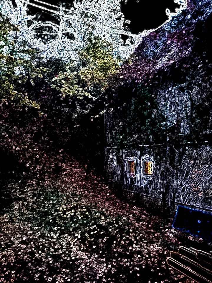 Haus & Forest