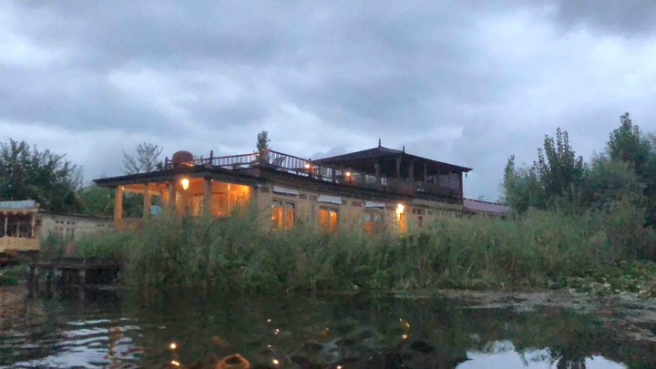 Water Farming on Dal lake near Houseboat