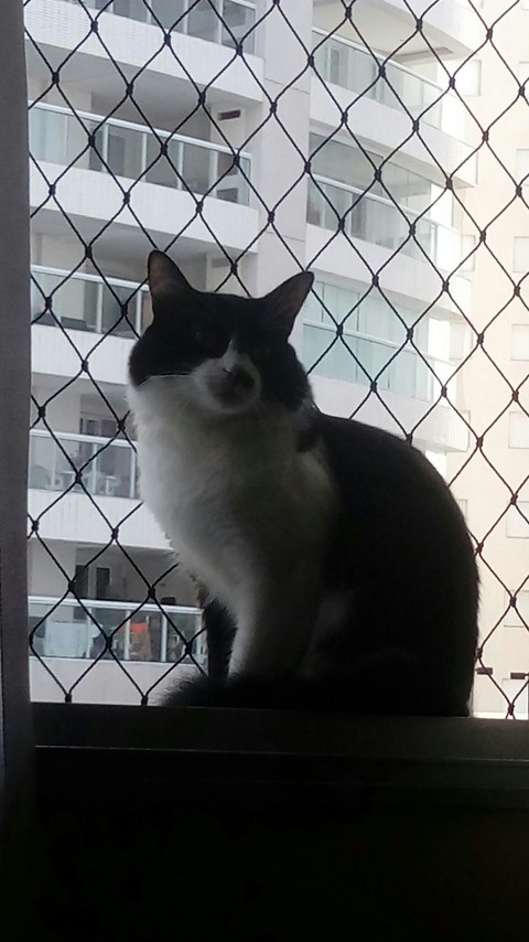 bruce