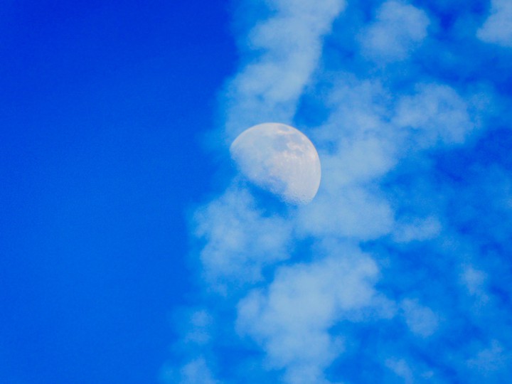 Blue Moon Rising
