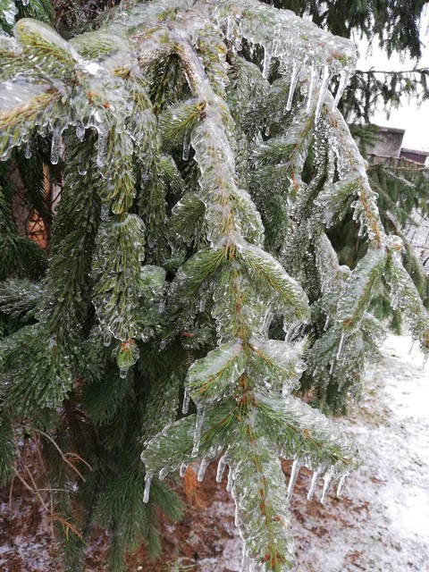 magic winter