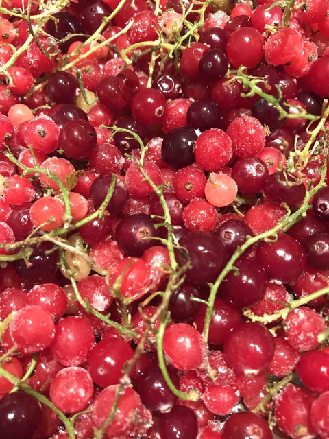 berries