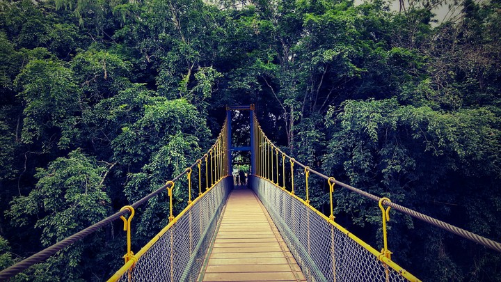 Bridge
