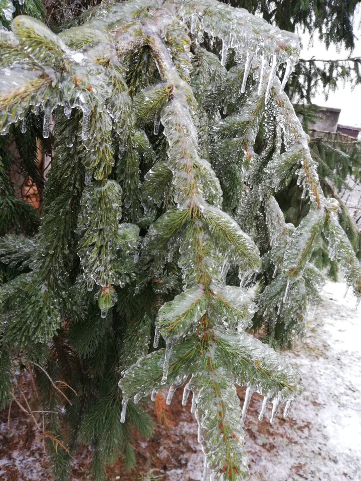 magic winter
