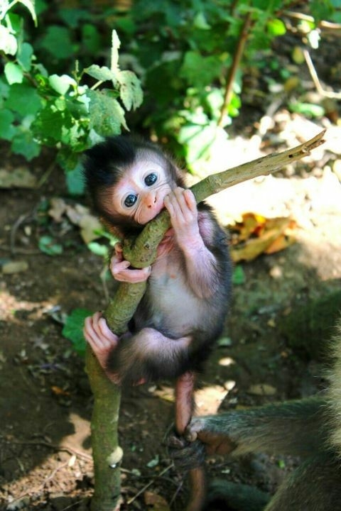so cute