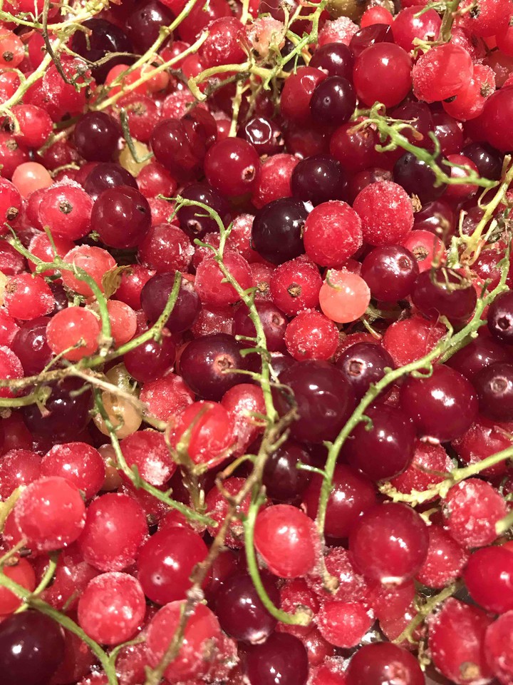 berries