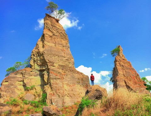 brown canyon