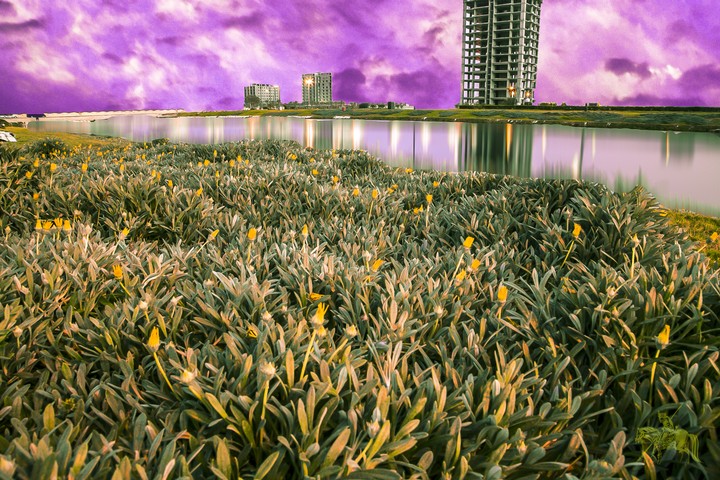 City