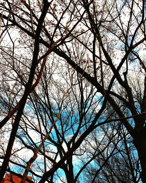 sky blue skies