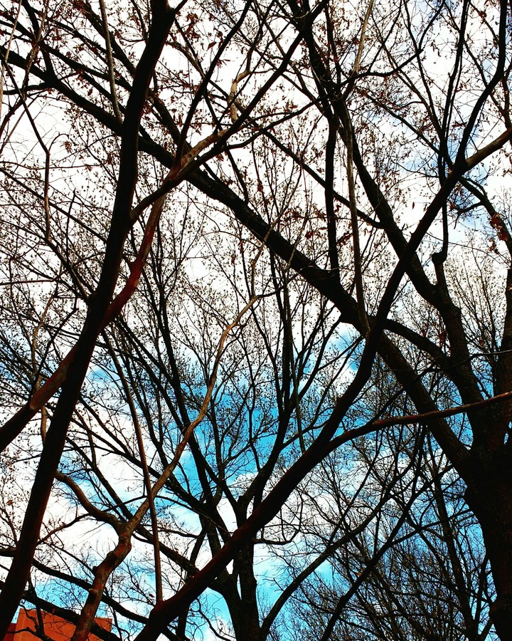 sky blue skies