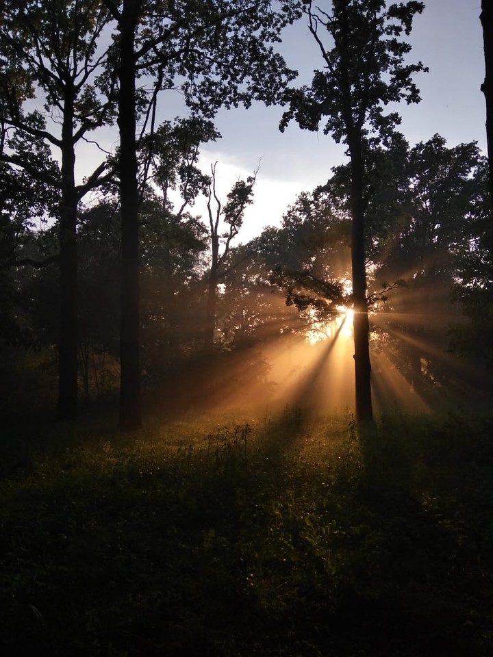 Nature