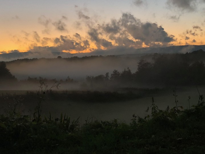 rolling in the fog