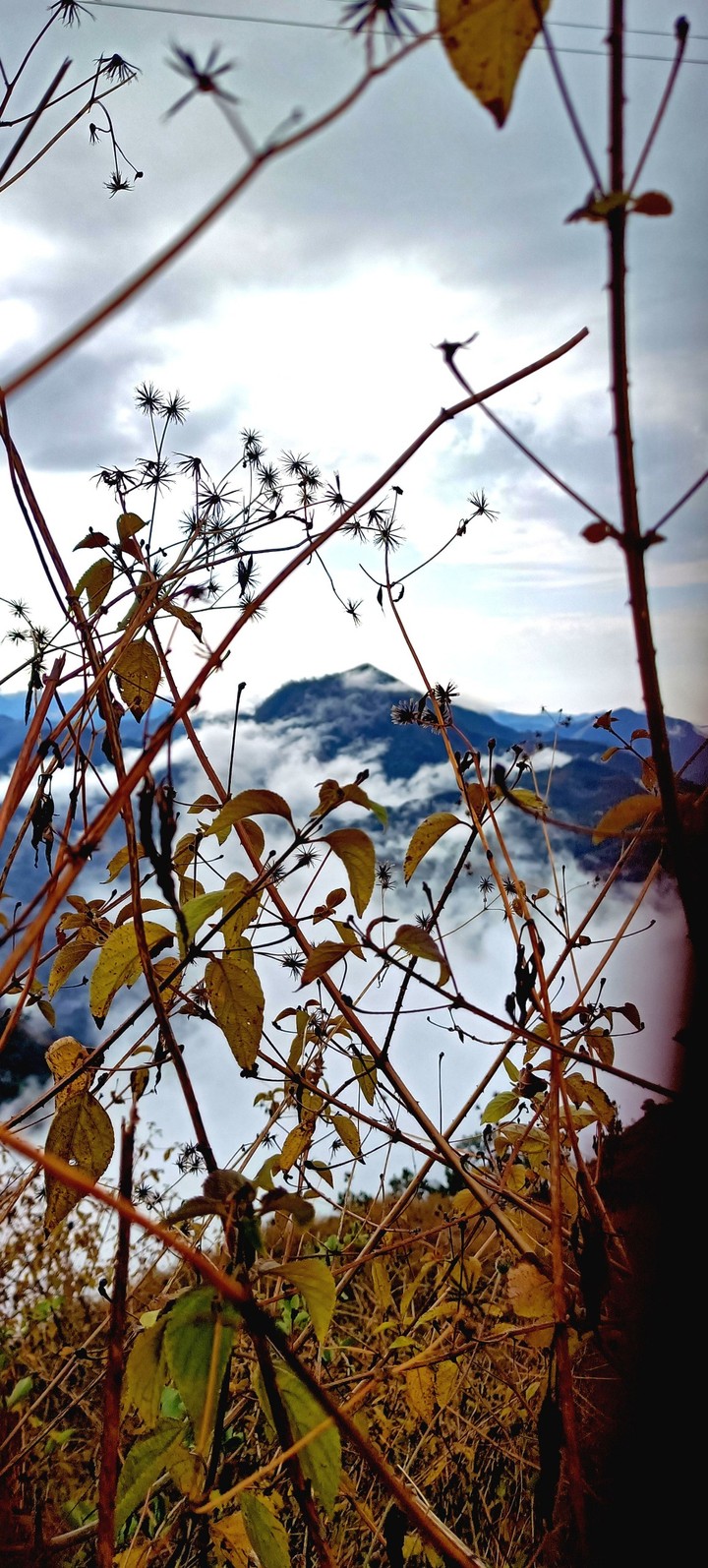 nature shot?