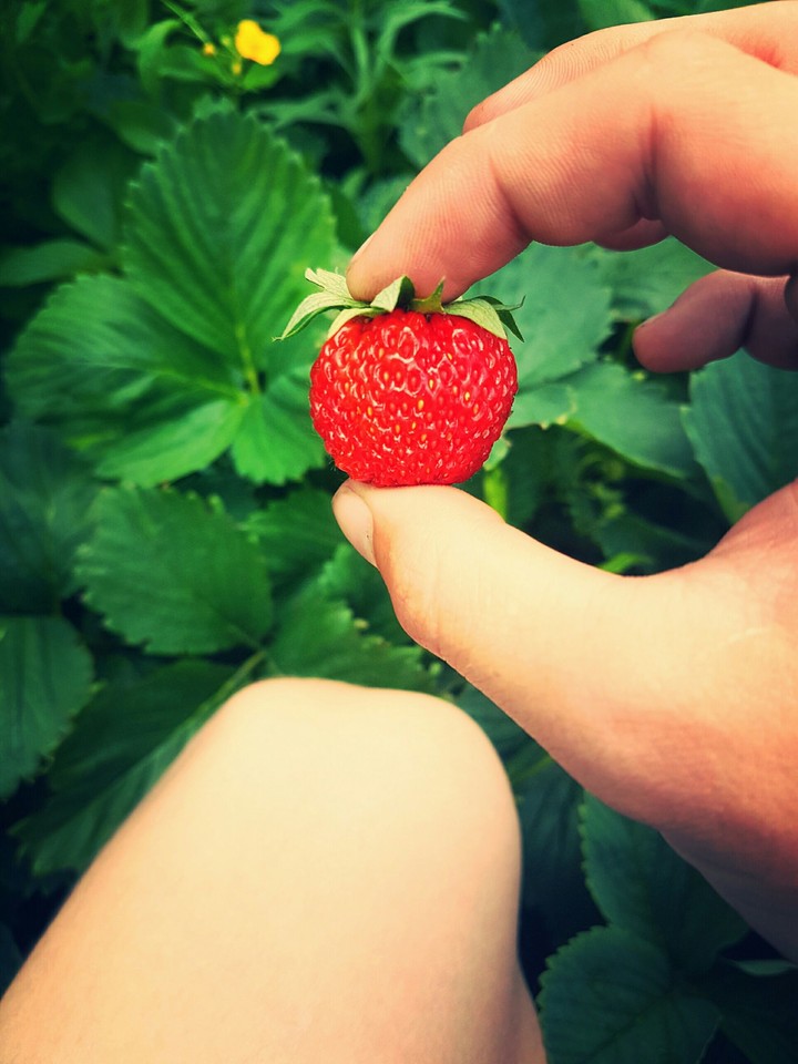 Strawberry