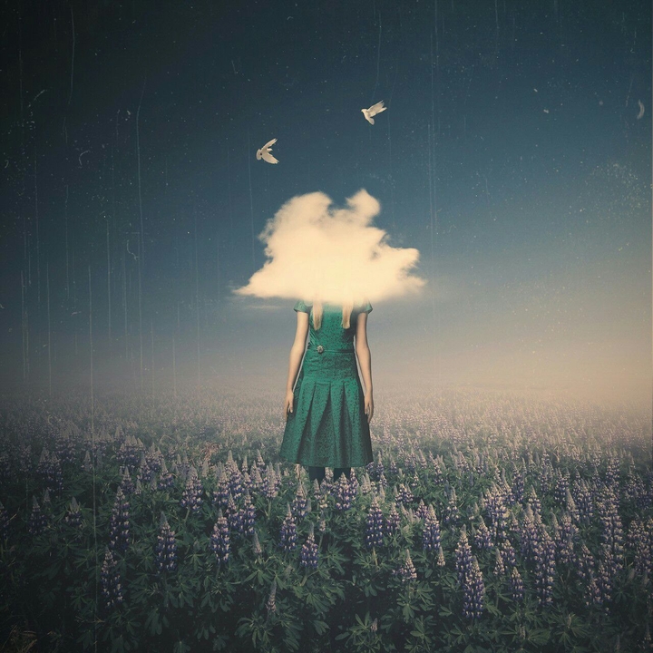 cloud or brain