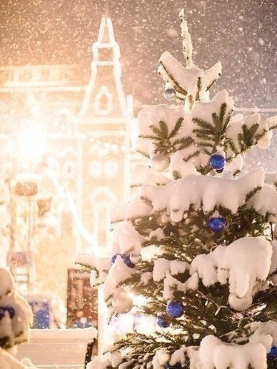 winter