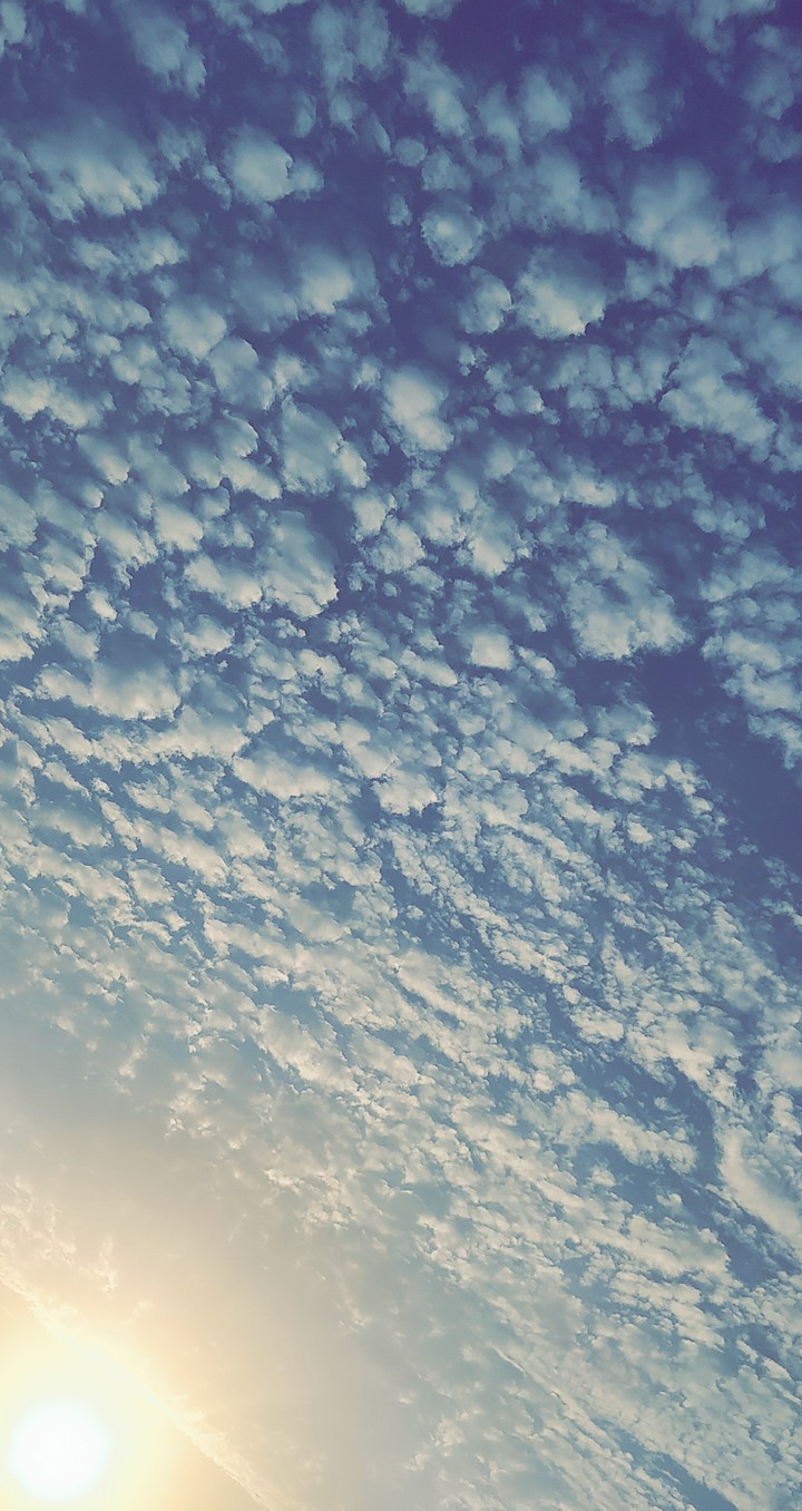 morning?️