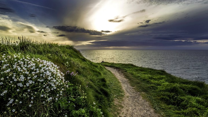 Nature's Beauty
