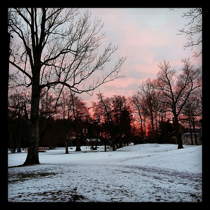 Winter