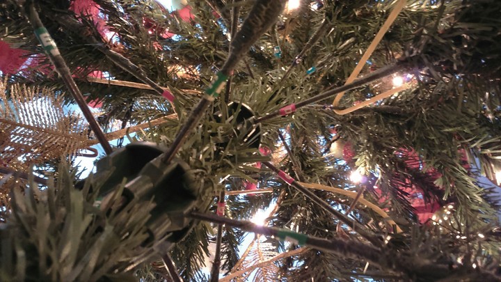 Under a Christmas Tree