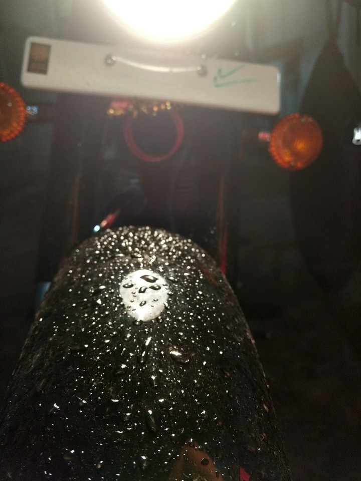 bullet