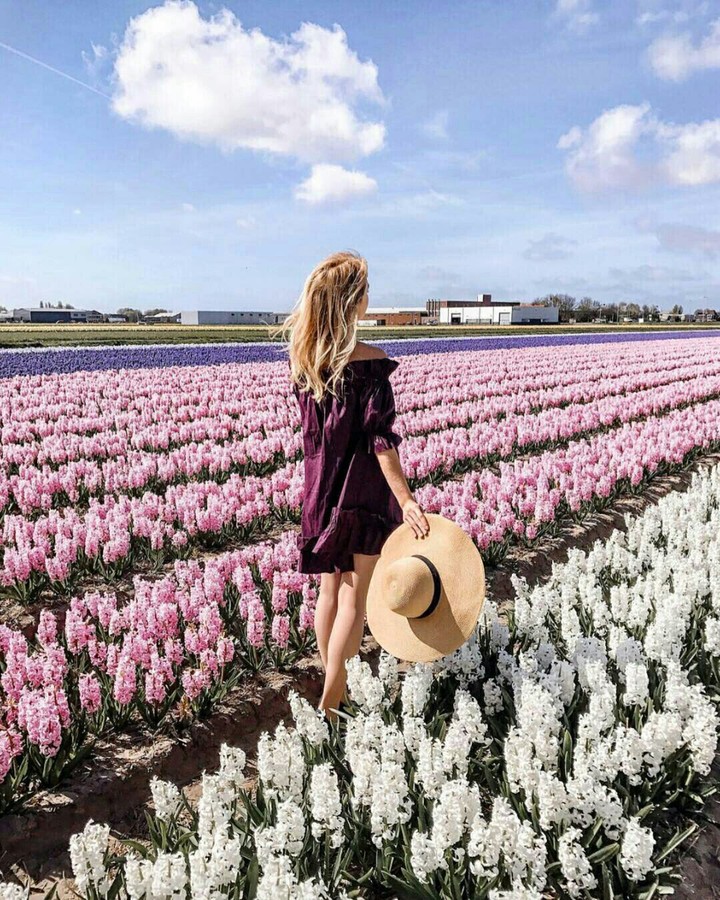 colourful