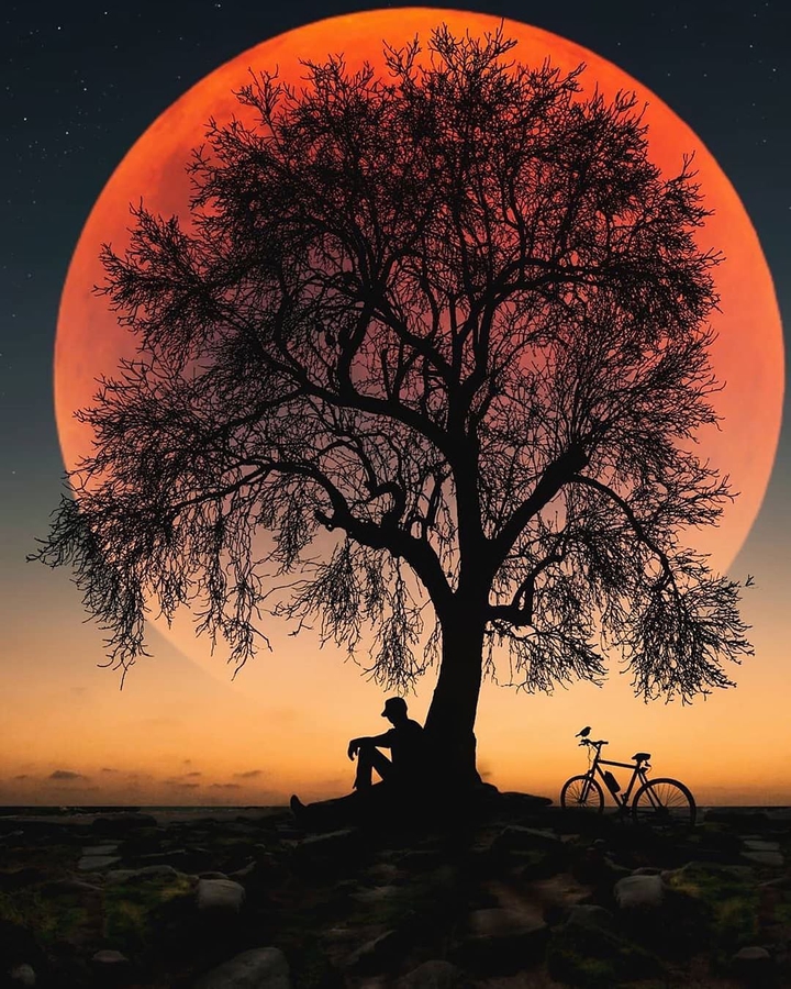 alone