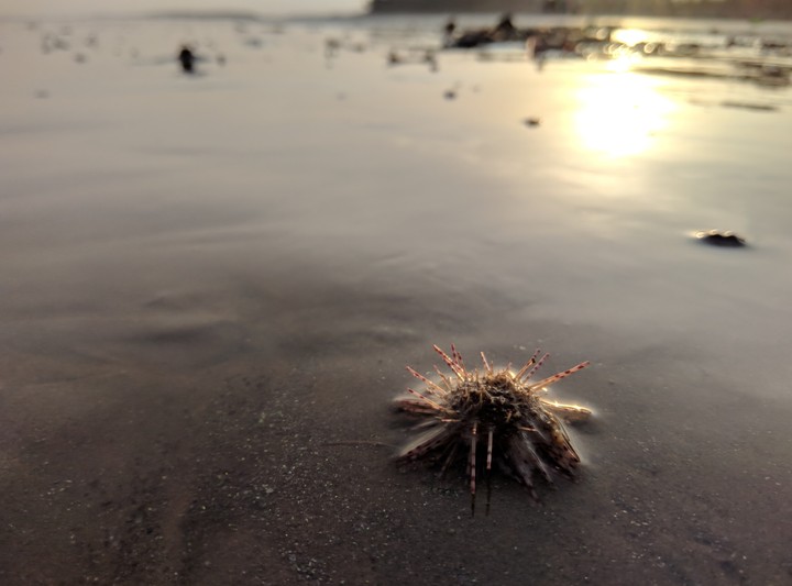lonely sunrise.