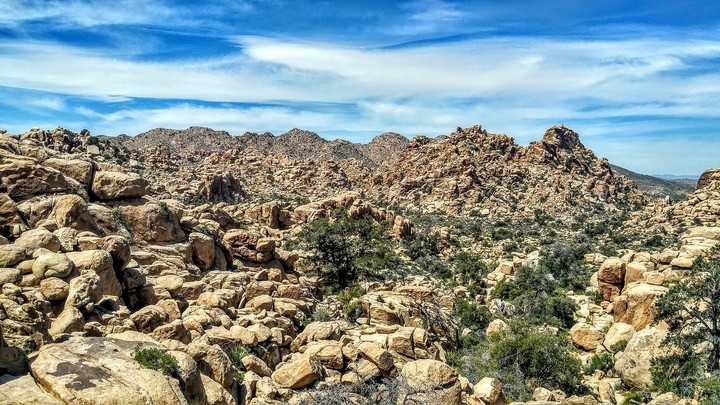 Joshua Tree National Park