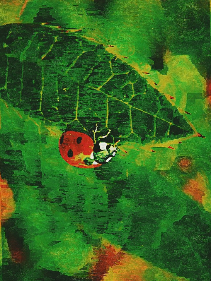 Green Glory