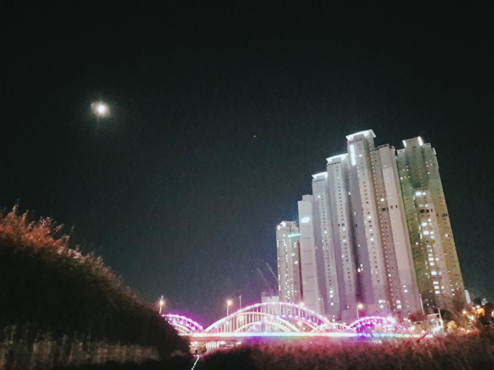 달과도시와다리