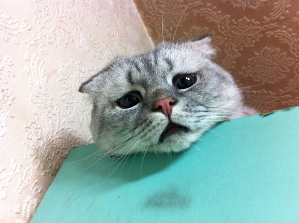 U What??