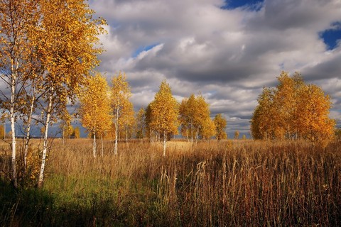 papéis de parede Autumn, landscapes