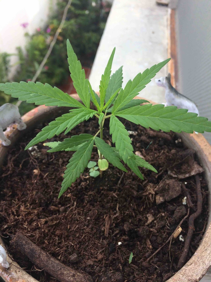 Linda a sus 22 días de nacida ?