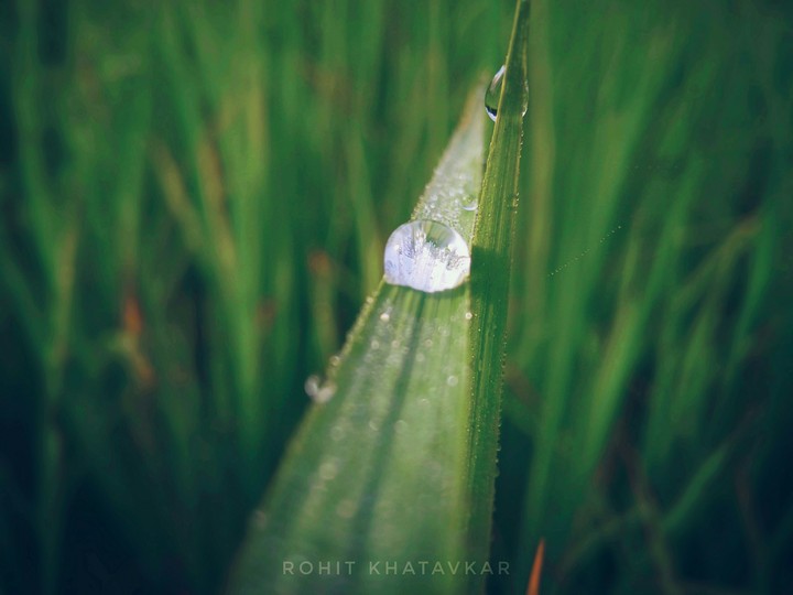 water drop