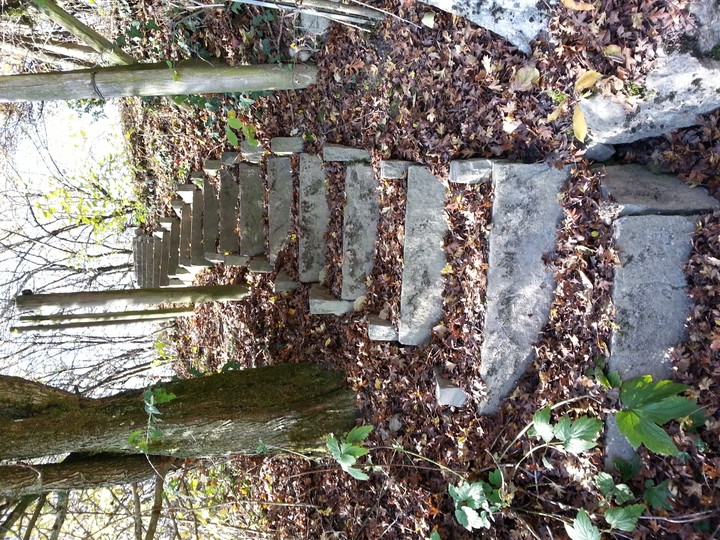 Natur