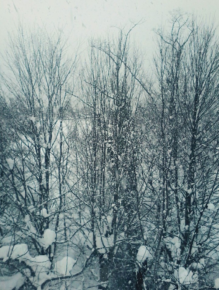 winter is beautiful