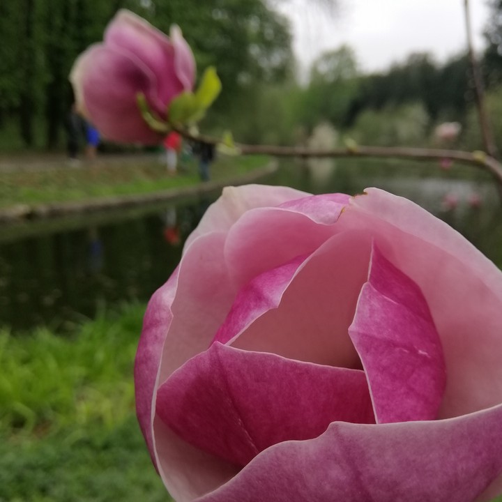 Nature♥️
