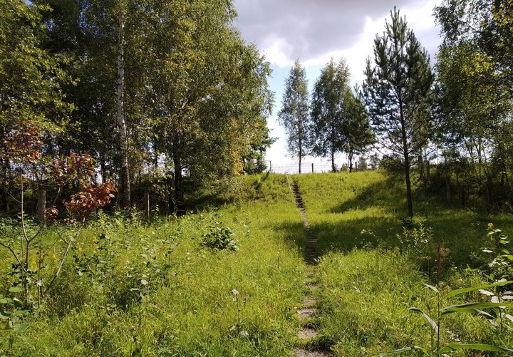 A road to a fairytale