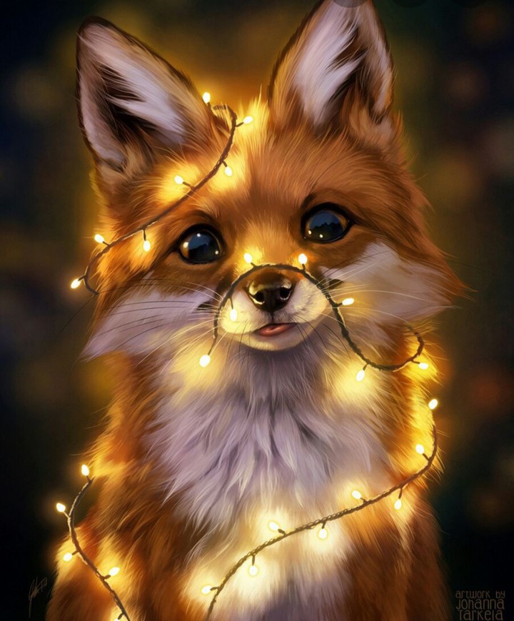fox